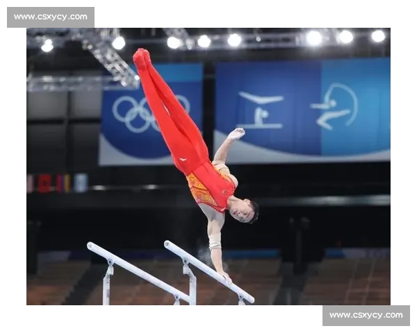 实力与汗水的结晶，中国奥运奖牌榜上的闪耀之星